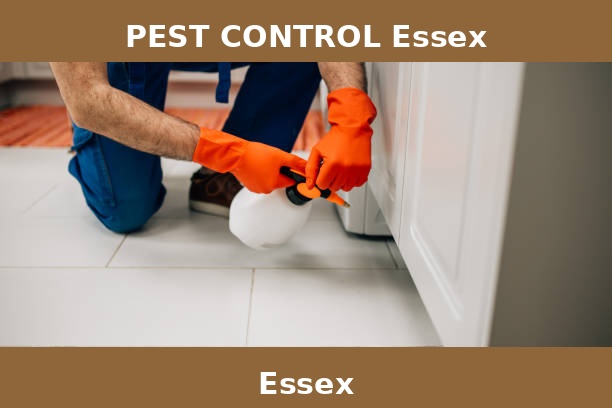 PEST CONTROL Essex